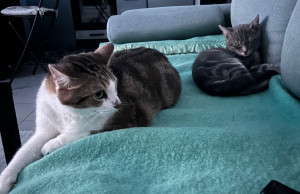 Photo de galerie - Pitchu et Oliver