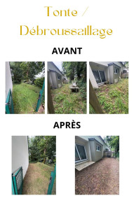 Photo de galerie - Tonte / débroussaillage 