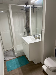 Photo de galerie - Nettoyage d’une salle de bain