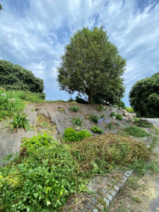Photo de galerie - Paysagiste - Aménagement du jardin