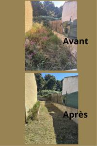 Photo de galerie - Tonte de pelouse - Débroussaillage