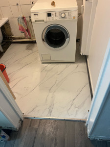 Photo de galerie - Lino