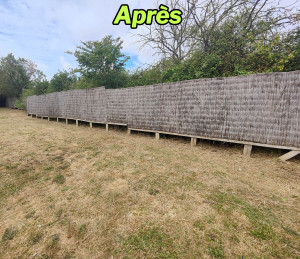 Photo de galerie - Après : débroussaillage d'un brise vue  