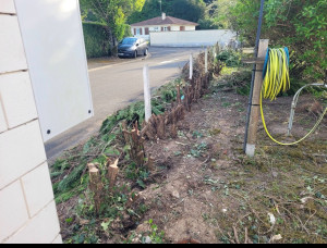 Photo de galerie - Arrachage 