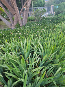 Photo de galerie - Jardinier 
