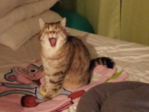 Photo de galerie - Ma chère Moumoune