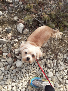 Photo de galerie - Promenade nature