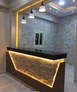 Photo de galerie - Plâtre décoratif 