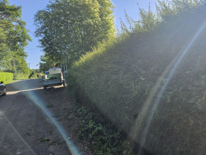 Photo de galerie - Taille d'une haie de buis avant arrière et plateau puis évacuation des déchets 
