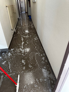 Photo de galerie - Ménage 