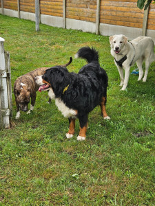Photo de galerie - Dans le jardin