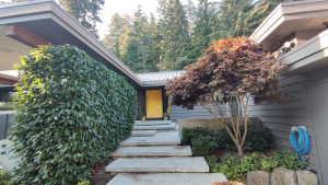 Photo de galerie - Coupe du bonsaï et de la haie