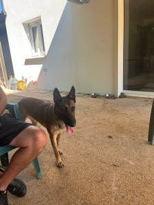 Photo de galerie - ?