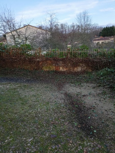 Photo de galerie - Supression d une haie 
