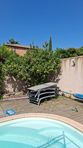 Photo de galerie - Taille de citronnier 