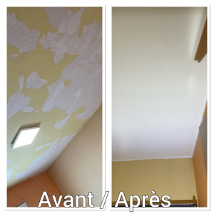 Photo de galerie - Peinture - Tapisserie