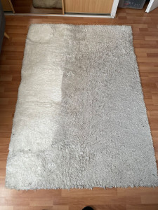 Photo de galerie - Nettoyage de tapis