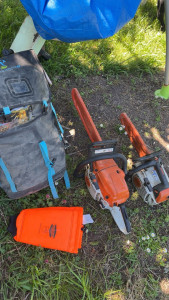 Photo de galerie - Elagage et coupe d'arbres