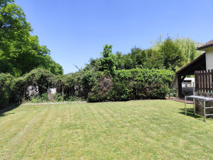 Photo de galerie - Elagage et coupe d'arbres