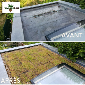Photo de galerie - Réalisation d'une toiture végétalisée sur une extension, super atout contre les canicules !