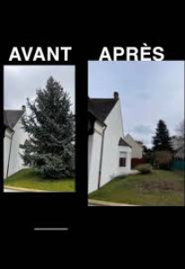 Photo de galerie - Abattage de sapin