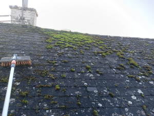 Photo de galerie - Couverture - Toiture