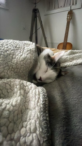 Photo de galerie - Garde à domicile