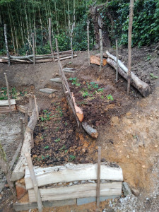 Photo de galerie - Création d'un potager en espaliers sur une butte. 
désherbage thermique et manuel, élagage arbustes, nettoyage ronces et orties. piquets et renforts en bois, travail du sol, ajout de compost et plantation de fraisiers.