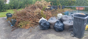 Photo de galerie - évacuation dechet vert