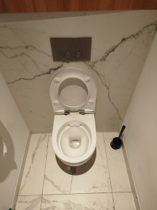 Photo de galerie - Remplacement toilette suspendu 