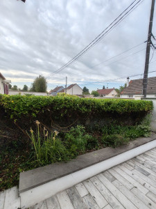 Photo de galerie - Taille de haie 
