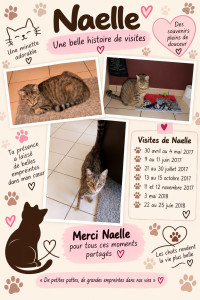 Photo de galerie - Garde chat