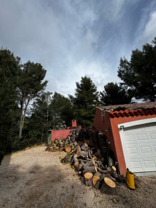 Photo de galerie - L’arbre a complètement été débité et extrait du toit