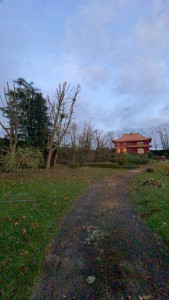 Photo de galerie - élagage avec nacelle à chenille 