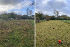 Photo de galerie - Débroussaillage de terrain – Avant / Après