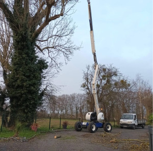 Photo de galerie - Abattage d’arbre 