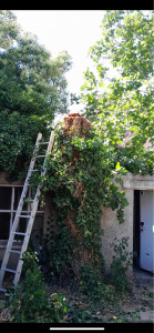 Photo de galerie - Avant 