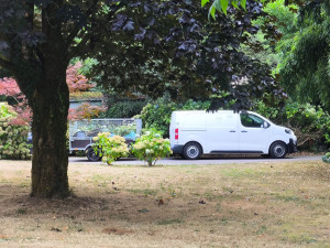 Photo de galerie - Entretien de jardin
