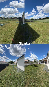 Photo de galerie - Tonte