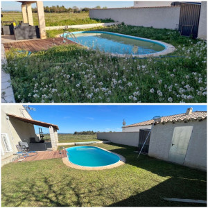 Photo de galerie - Tonte pelouse,avant et après 