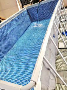 Photo de galerie - Piscine Intex 