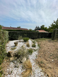 Photo de galerie - Taille de haie (eleagnus)