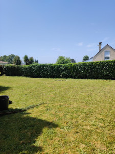 Photo de galerie - Tonte de pelouse 