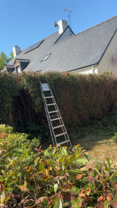 Photo de galerie - T’aime de haie 