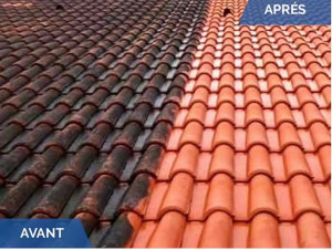 Photo de galerie - Couverture - Toiture