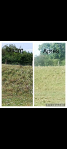 Photo de galerie - Paysagiste - Aménagement du jardin