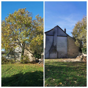 Photo de galerie - Elagage et coupe d'arbres