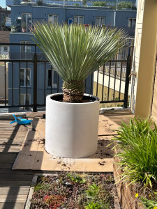 Photo de galerie - Paysagiste - Aménagement du jardin