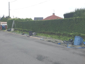 Photo de galerie - Taille-haies