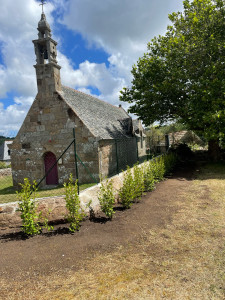 Photo de galerie - Plantation